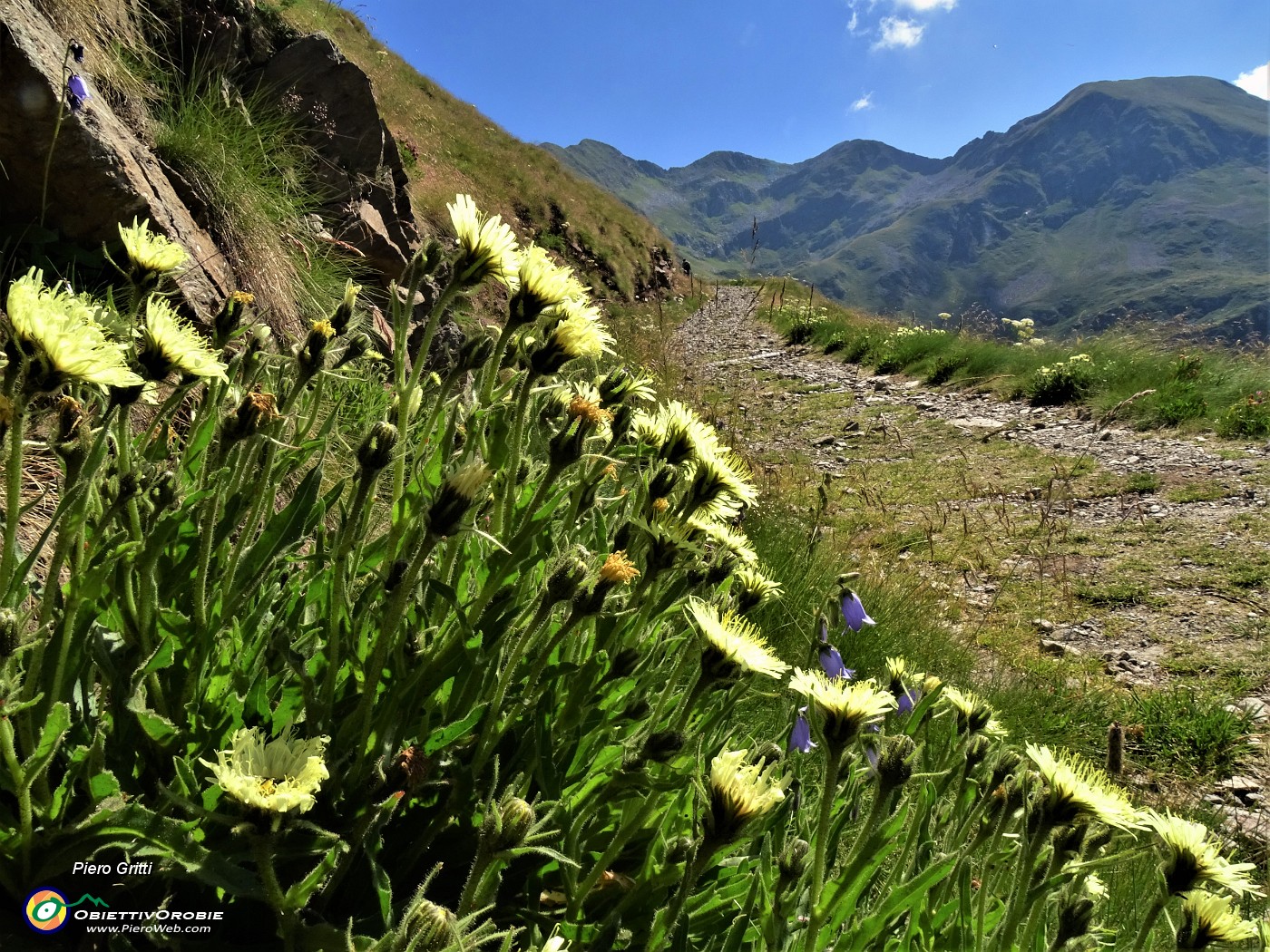 11 Sul 204 per il Lago Moro con vista in Corno Stella e Monte Chierico.JPG